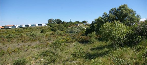 Terreno em Sintra, Portugal 23880 m² N.º 64213 6