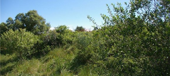 Terreno em Sintra, Portugal 23880 m² N.º 64213 7