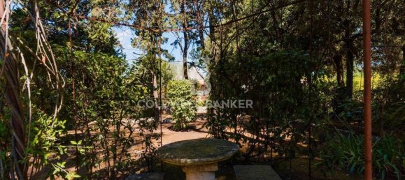 6 Schlafzimmer Villa in Fasano, Italy, Nr. 313175 46