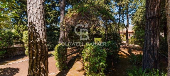 6 Schlafzimmer Villa in Fasano, Italy, Nr. 313175 45