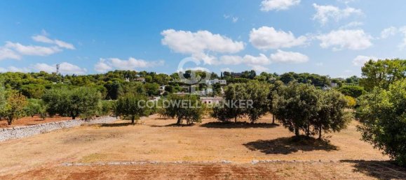 6 Schlafzimmer Villa in Fasano, Italy, Nr. 313175 43