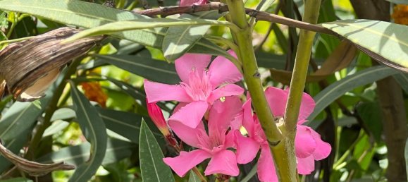 3 bedrooms House in Malaga, Spain No. 63140 24