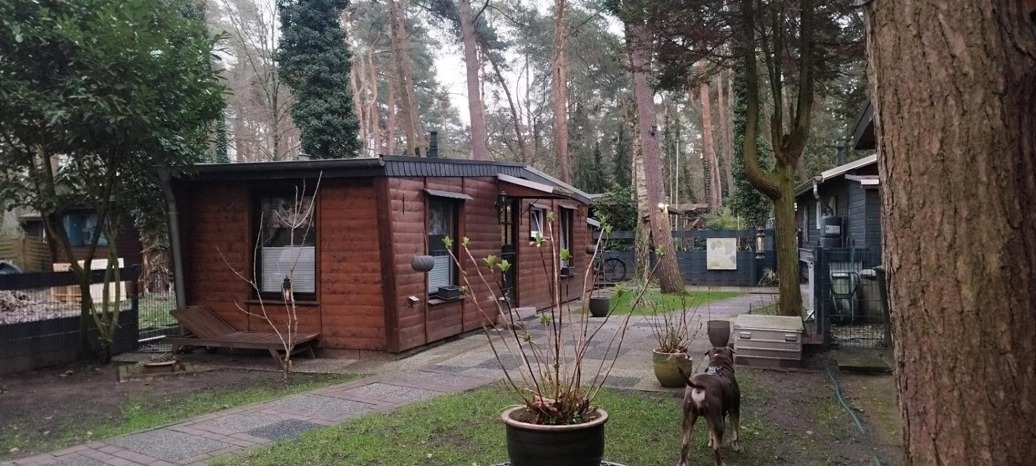 1 Schlafzimmer Haus in Coesfeld, Germany, Nr. 347632