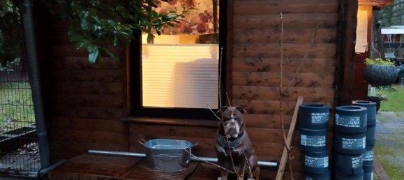 1 Schlafzimmer Haus in Coesfeld, Germany, Nr. 347632 7