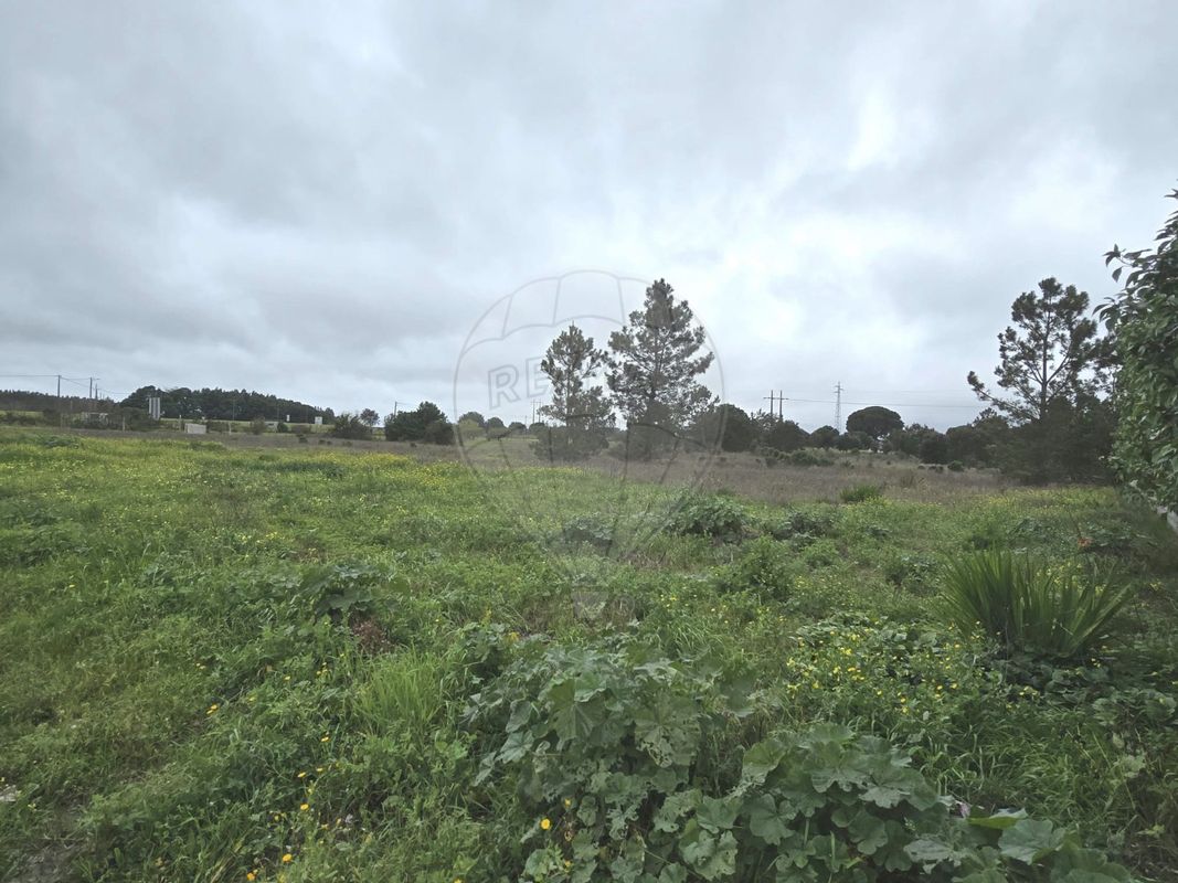 5 bedrooms House in Montijo, Portugal No. 179746