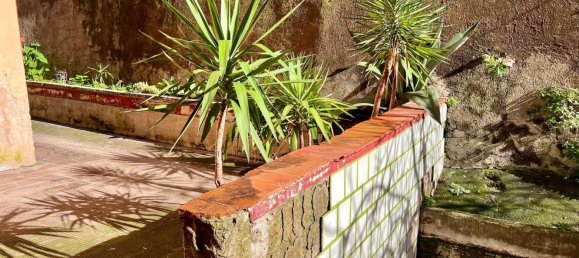 3 rooms Apartment in Torre del Greco, Italy No. 285235 19