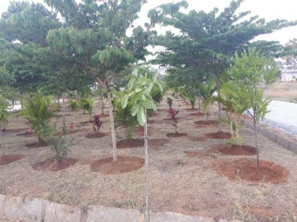  قطعة أرض في Bangalore, India رقم 36732