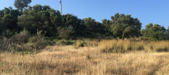  Hotel in Zakynthos, Greece No. 8543 11