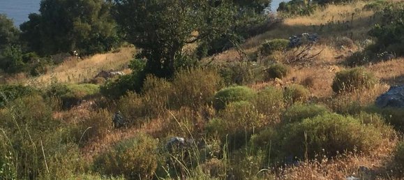  Hotel in Zakynthos, Greece No. 8543 12