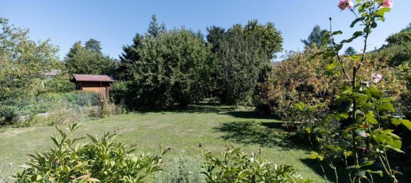 3 Schlafzimmer Bungalow in Langenlois, Austria, Nr. 253422 5