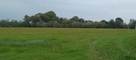 8690m² Land in Villafranca Padovana, Italy No. 237427 2