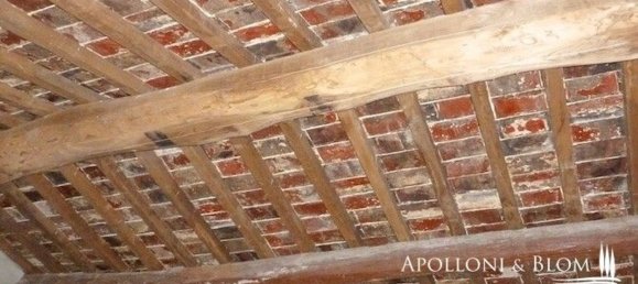 20-salle Maison à Asciano, Italy No. 233404 30