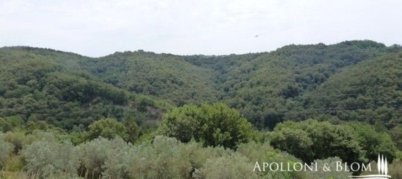 20-salle Maison à Asciano, Italy No. 233404 14