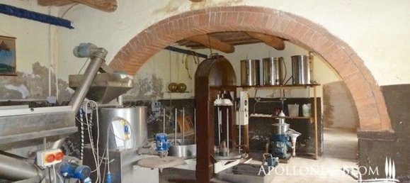 20-salle Maison à Asciano, Italy No. 233404 19