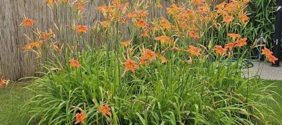 4-salle Maison à Maria Gail, Austria No. 134445 18