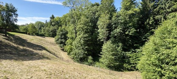 3 bedrooms House in Wels, Austria No. 186059 15