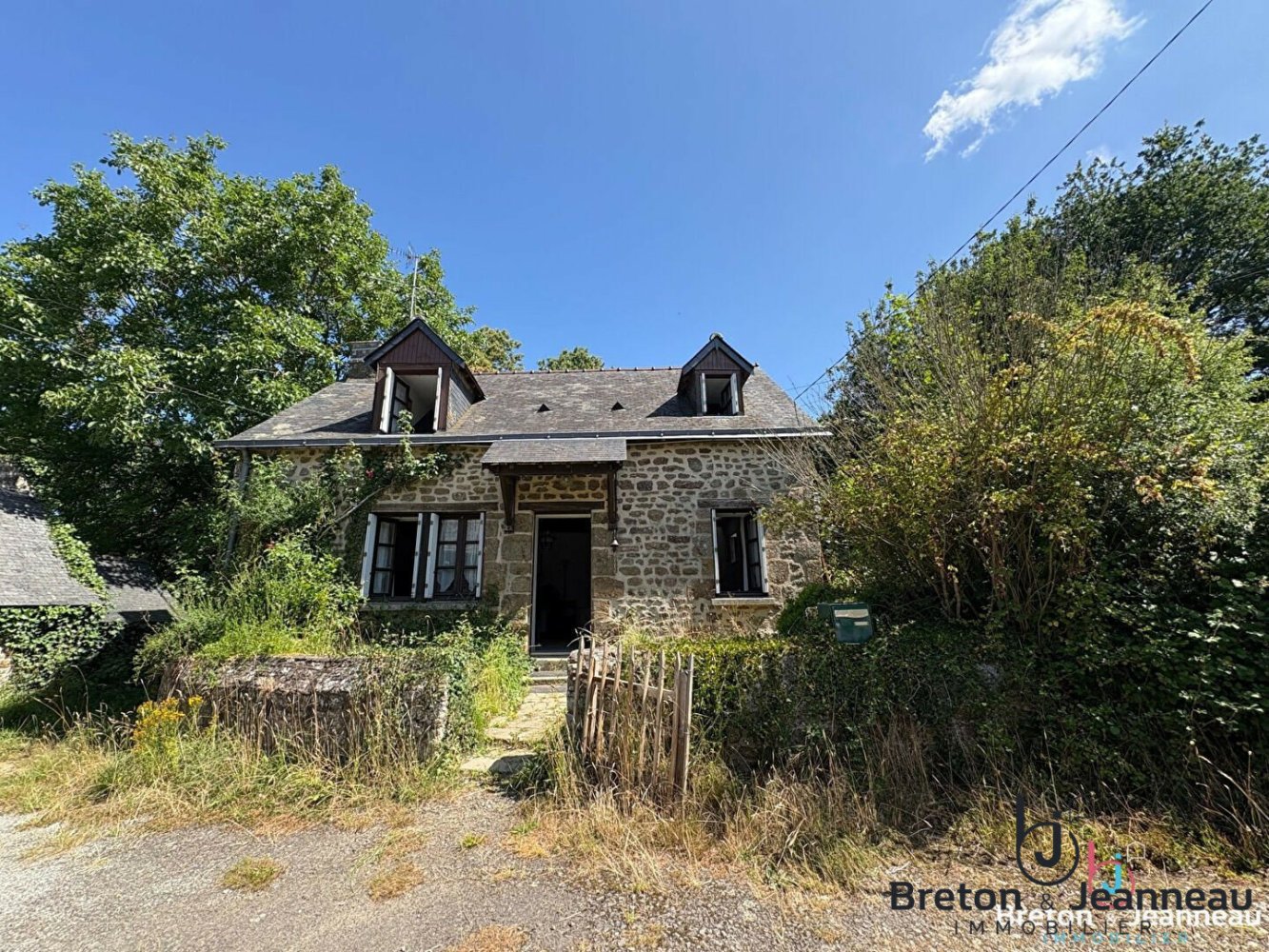 Дом с 5 спальнями в Майен, Франция № 357976