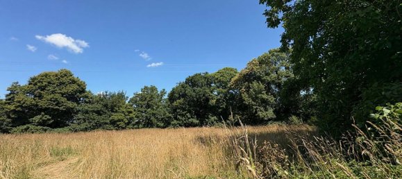 Дом с 5 спальнями в Майен, Франция № 357976 3