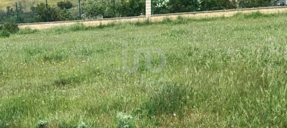 Земельный участок 762м² в Леон, Испания № 179230 6