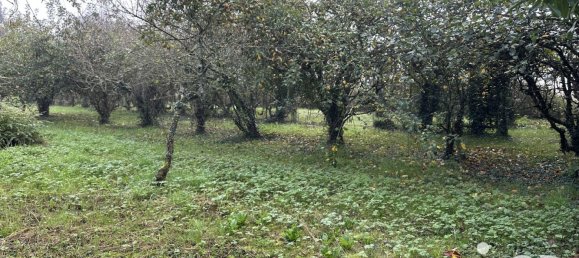 4-salle Maison à Châteaudun, France No. 217856 4