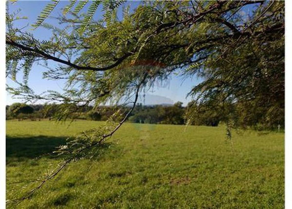  Land in Cordoba, Argentina No. 44480