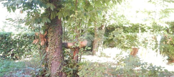 3 Schlafzimmer Villa in Nepi, Italy, Nr. 155214 9