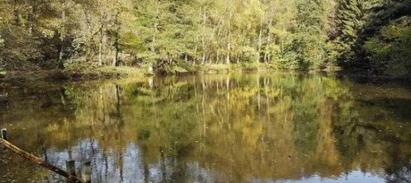 Terreno em Sudwestpfalz, Germany N.º 148960 5