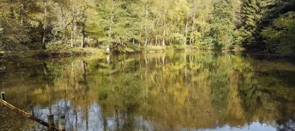 Terreno em Sudwestpfalz, Germany N.º 148960 4