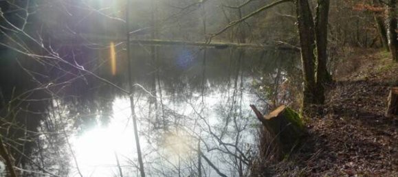 Terreno em Sudwestpfalz, Germany N.º 148960 2