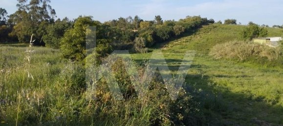 Terrain à Mafra, Portugal 6062m² No. 115399 11
