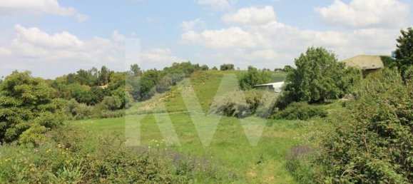 Terrain à Mafra, Portugal 6062m² No. 115399 16