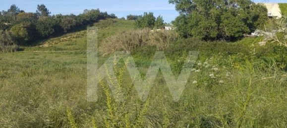 Terrain à Mafra, Portugal 6062m² No. 115399 10