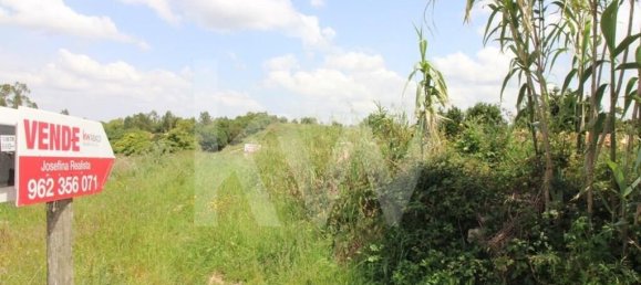 Terrain à Mafra, Portugal 6062m² No. 115399 14