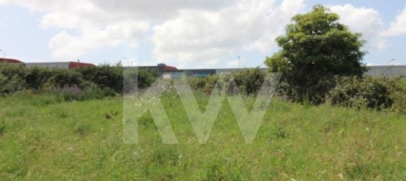 Terrain à Mafra, Portugal 6062m² No. 115399 19