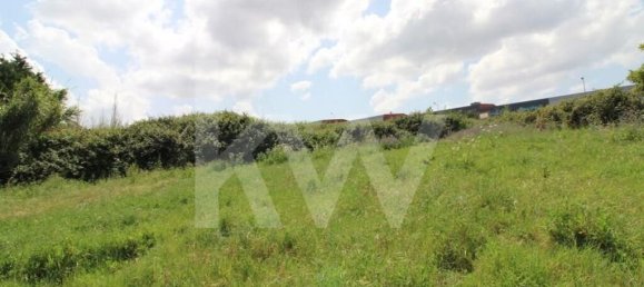 Terrain à Mafra, Portugal 6062m² No. 115399 21