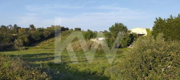 Terrain à Mafra, Portugal 6062m² No. 115399 12