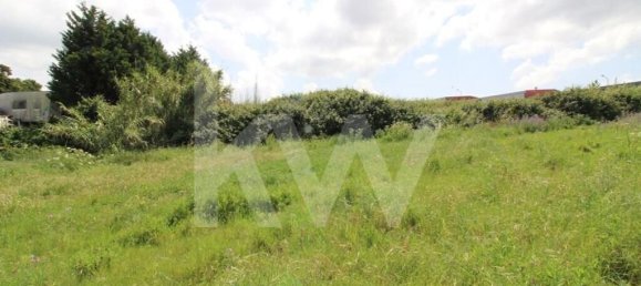 Terrain à Mafra, Portugal 6062m² No. 115399 22