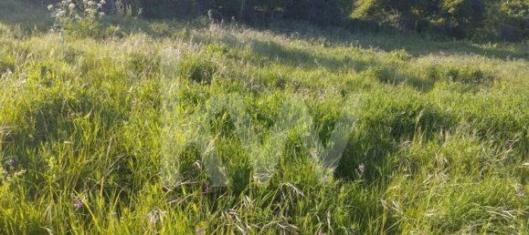 Terrain à Mafra, Portugal 6062m² No. 115399 9