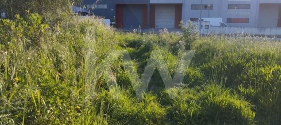 Terrain à Mafra, Portugal 6062m² No. 115399 8