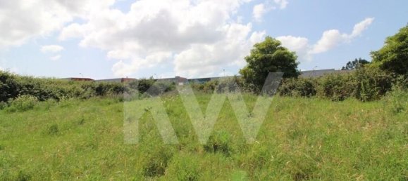 Terrain à Mafra, Portugal 6062m² No. 115399 20