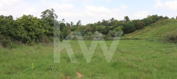 Terrain à Mafra, Portugal 6062m² No. 115399 17
