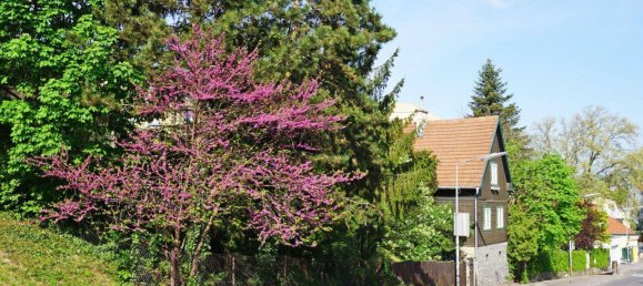 Terrain à Hietzing, Austria No. 46432 2