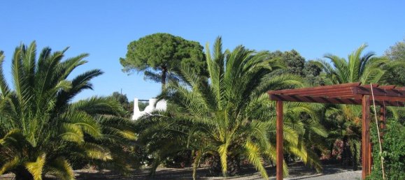 5 Schlafzimmer Haus in Ferreira do Alentejo, Portugal, Nr. 205652 23