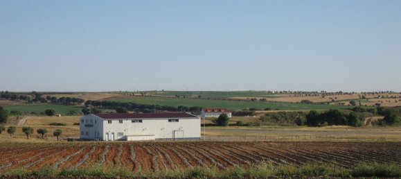 5 Schlafzimmer Haus in Ferreira do Alentejo, Portugal, Nr. 205652 21