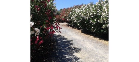 5 Schlafzimmer Haus in Ferreira do Alentejo, Portugal, Nr. 205652 45