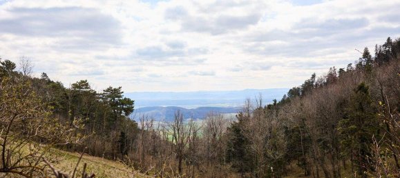 7غرفة منزل في Hohe Wand, Austria رقم 259314 4