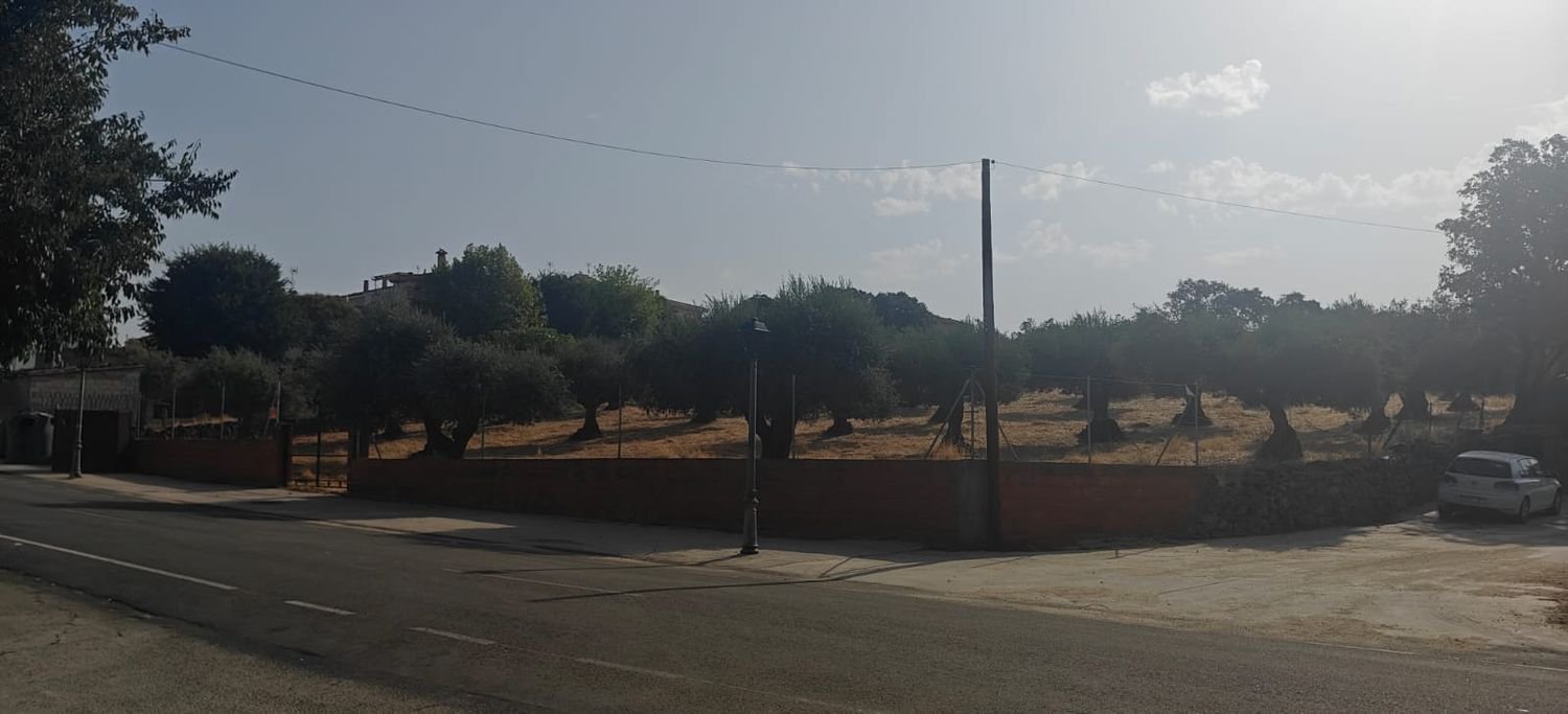  قطعة أرض في Caceres, Spain رقم 212766