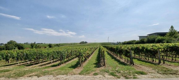 9 rooms House in Deutschkreutz, Austria No. 220488 5