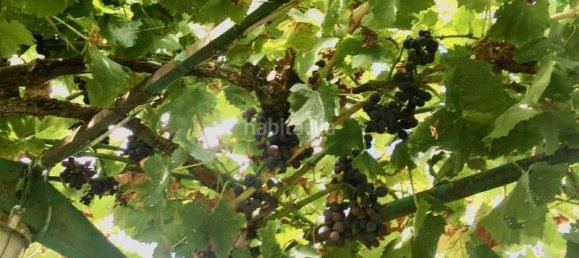 1 chambre Maison à La Rioja, Spain No. 140608 16