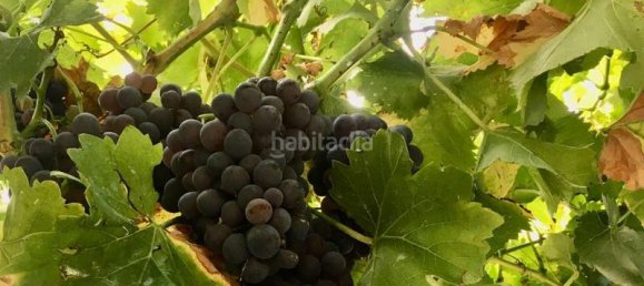 1 chambre Maison à La Rioja, Spain No. 140608 17